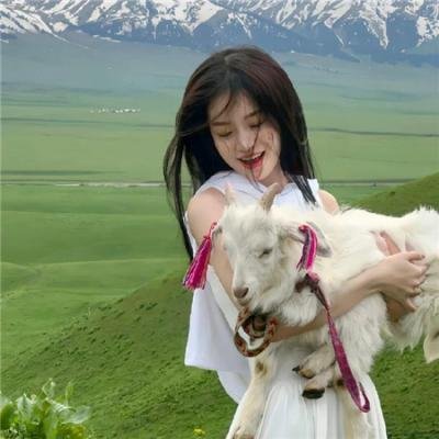 辣个艾莉丝