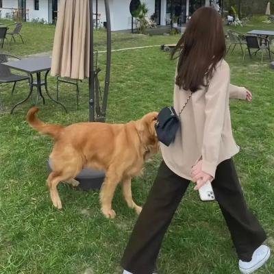 王者清风